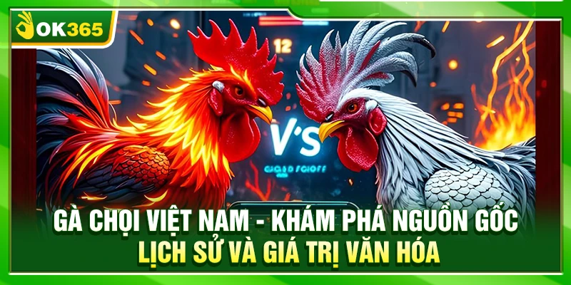 Gà Chọi Việt Nam – Khám Phá Nguồn Gốc Lịch Sử Và Giá Trị Văn Hóa