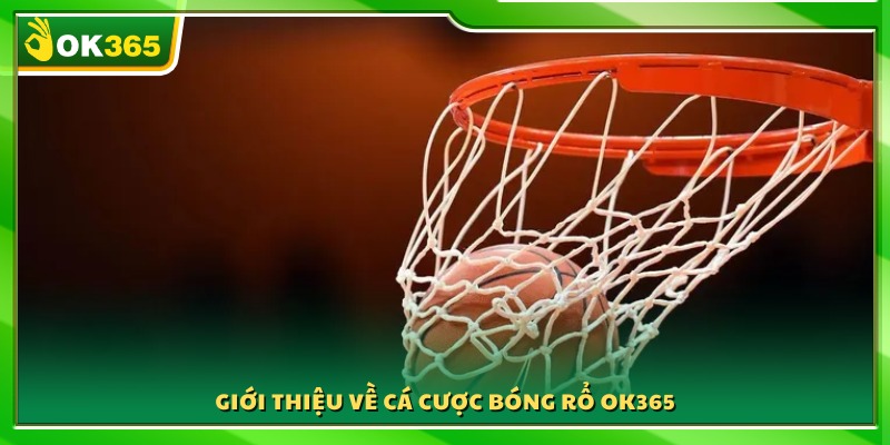 Tìm hiểu sơ lược về cá cược bóng rổ OK365