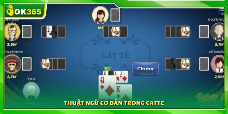 Giải thích các thuật ngữ phổ biến khi chơi Catte