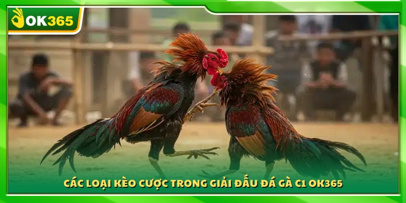 Danh mục kèo cược phổ biến được áp dụng