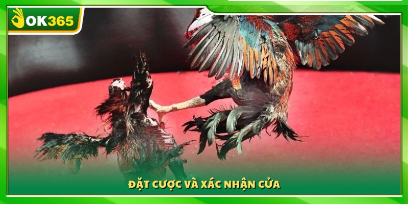 Chọn cửa phù hợp và xác nhận cược trên hệ thống