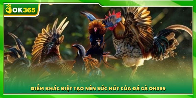 Ưu thế vượt trội giúp đá gà OK365 nổi bật trên thị trường