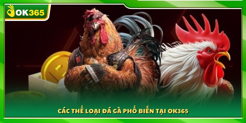 Những hình thức đá gà hấp dẫn nhất tại OK 365 
