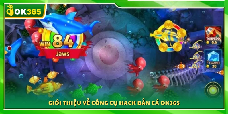 Tìm hiểu tổng quan về công cụ hack bắn cá OK365