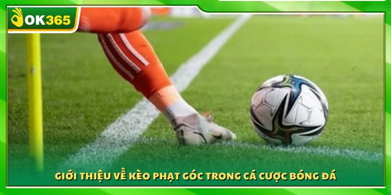 Tìm hiểu khái niệm kèo phạt góc và cách hoạt động