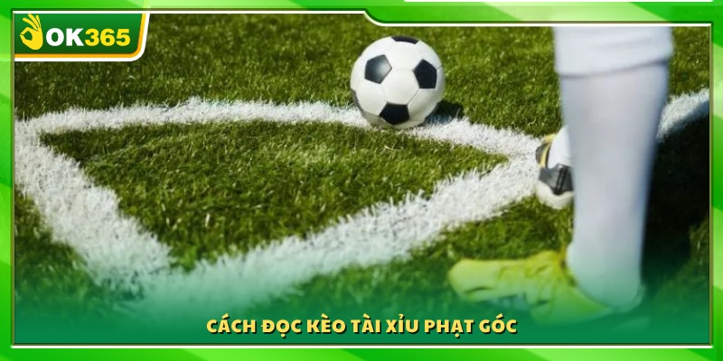 Cách hiểu tỷ lệ tài xỉu trong soi kèo phạt góc OK365 
