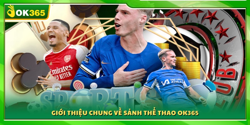 Tổng quan về hệ thống cá cược thể thao OK365